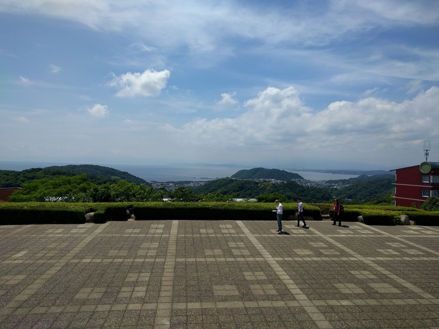 view