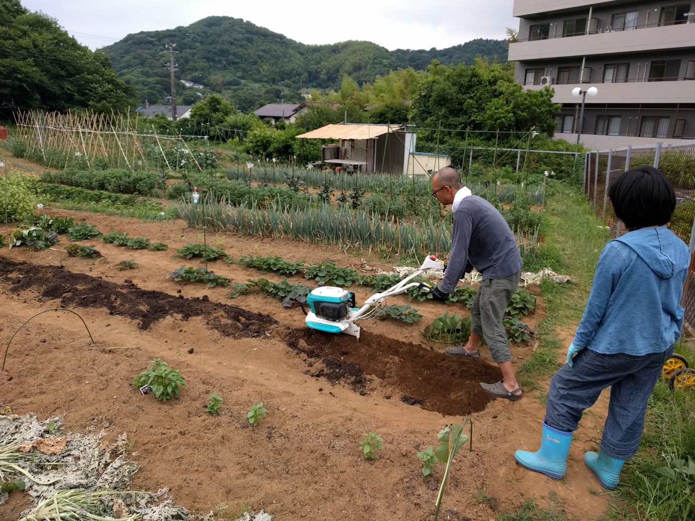garden2