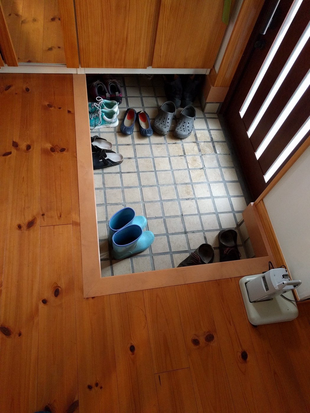 shoe
