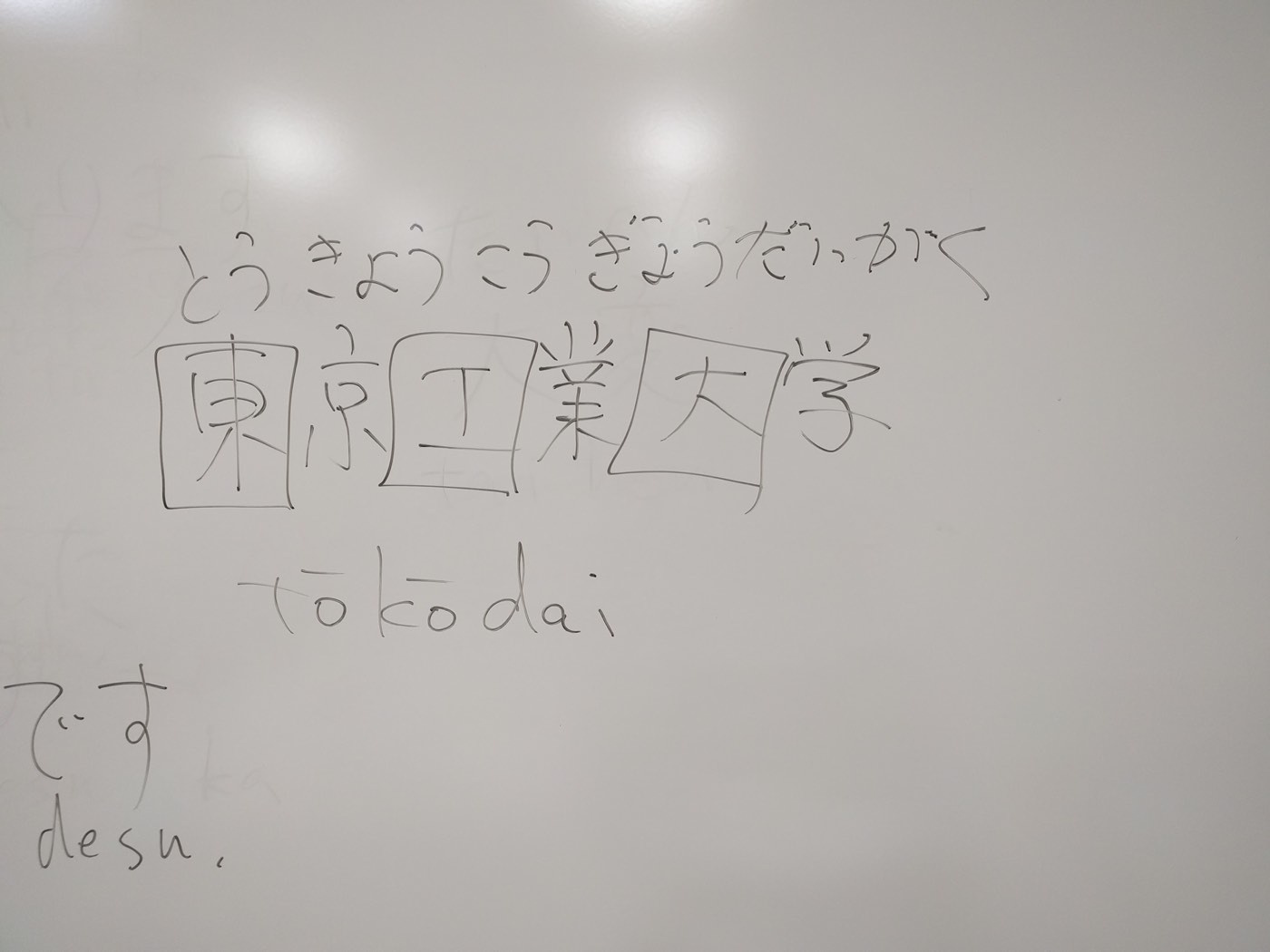 toko dia