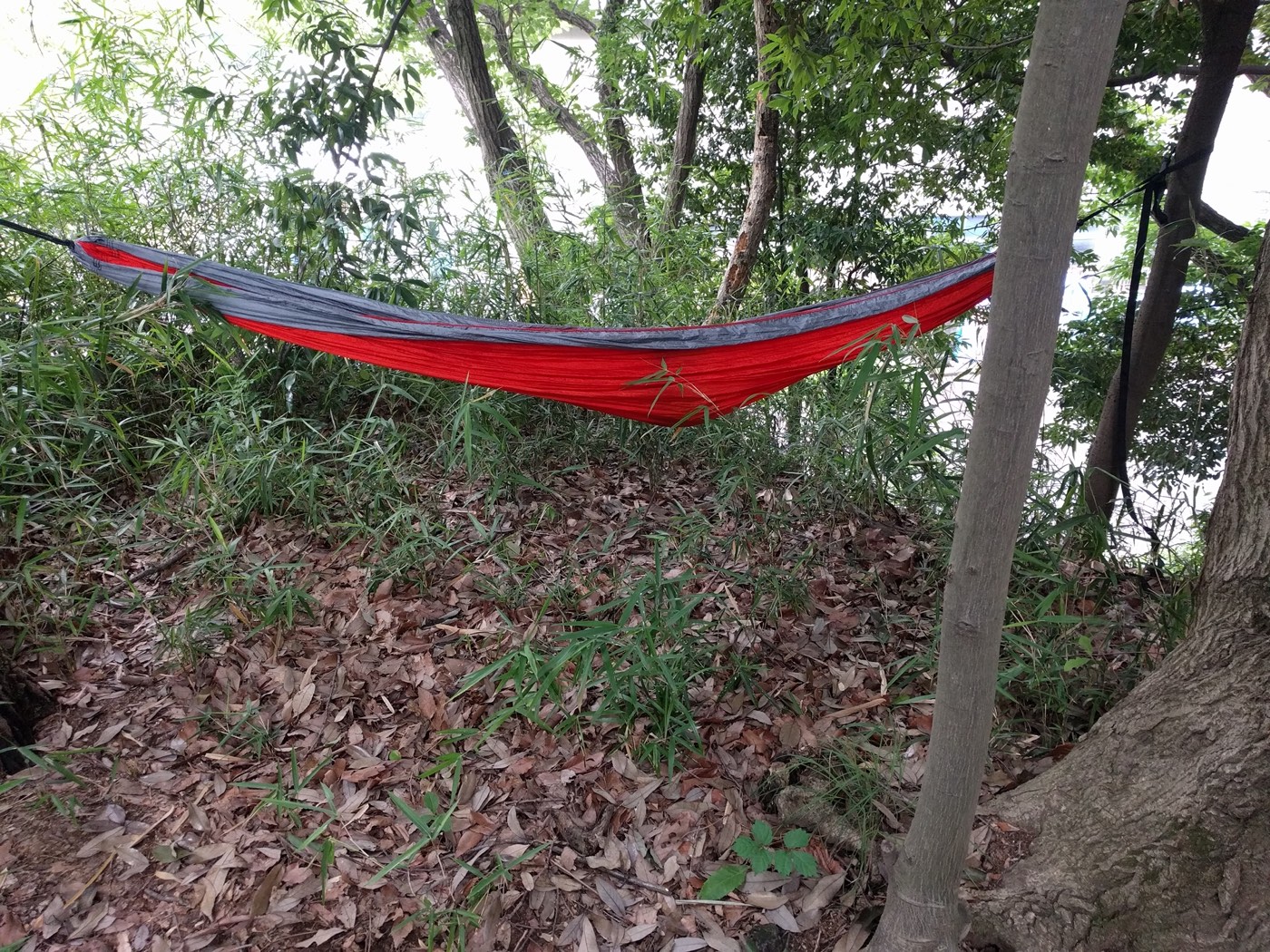 nap